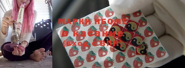 прущие грибы Богородицк