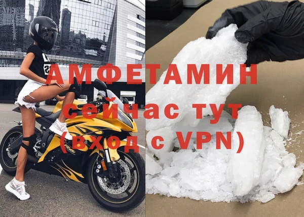 прущие грибы Богородицк