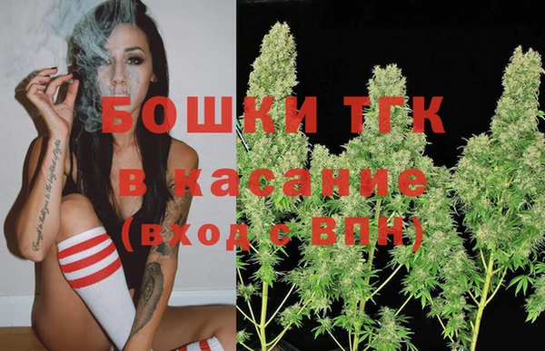 прущие грибы Богородицк