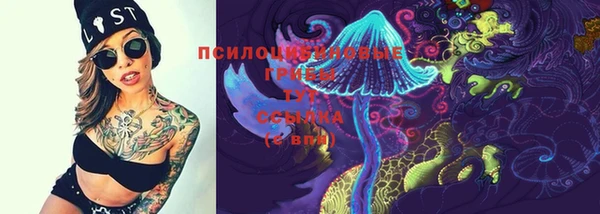 прущие грибы Богородицк